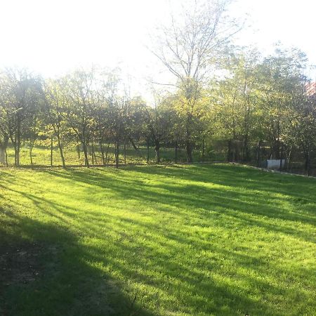 Green Nest Băneşti Esterno foto